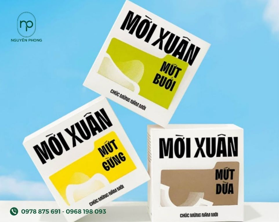 Mẫu hộp 2